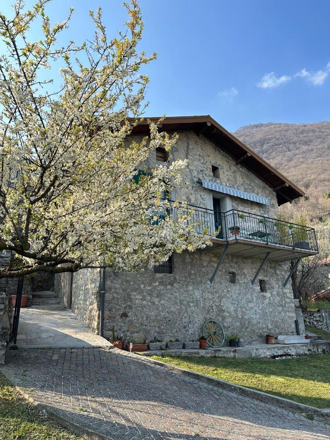 Greenlake House Tremezzina Tremezzo Esterno foto
